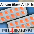 African Black Ant Pills 27